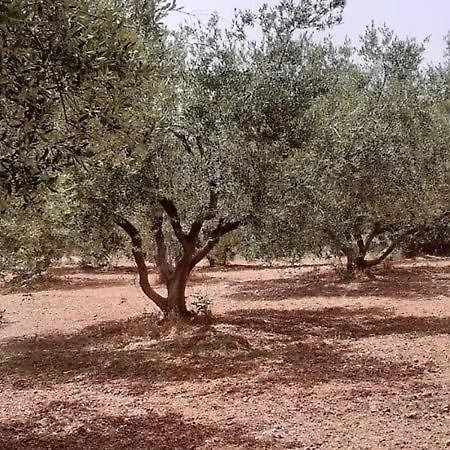 Апартаменты Captain's In Olive Grove *