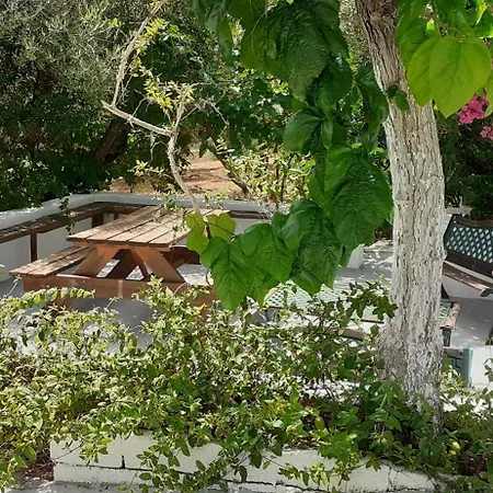 Captain's In Olive Grove *