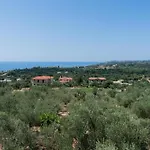 Captain's In Olive Grove Apartment